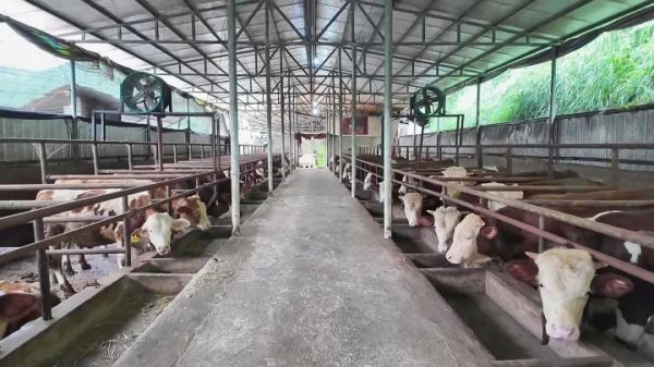 �������ң����ƴ����ƶ���ţ��ҵǿ����Ч��