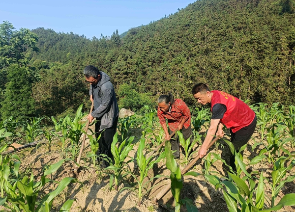 �ڸ����س�����ʯ�ִ壬�й�������פ�ĵ�һ����޹⸻Э���������˸�ũ��