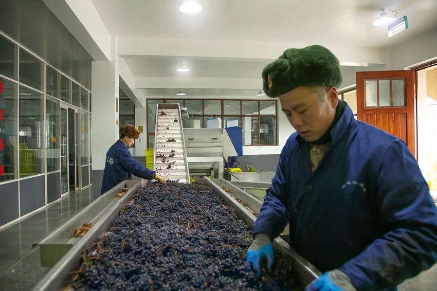 ��ժ���������ѽ��������ߡ���������