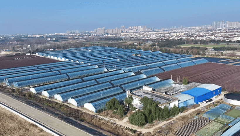 ���ض�������ݮ���غ��ġ�������ý�幩ͼ