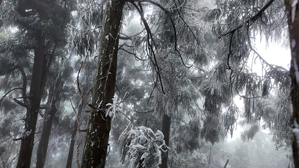 ��ڡ���ۡ���������