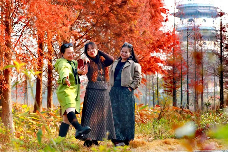 �ο���ᱹ�����԰���򿨡������²���