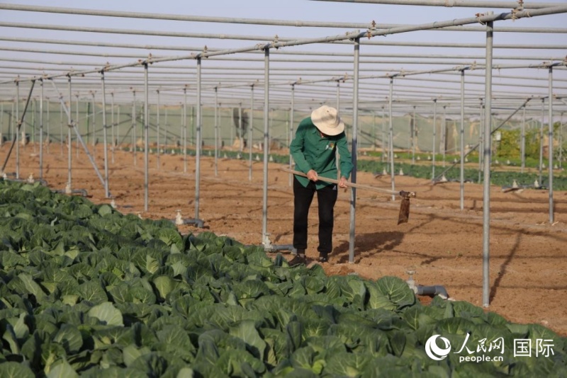 ũ�����˽��������������������� ��־����