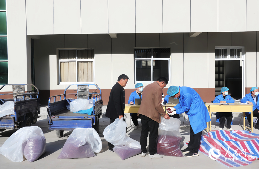 ����������ɽ���ǡ����������� ����ƽ��