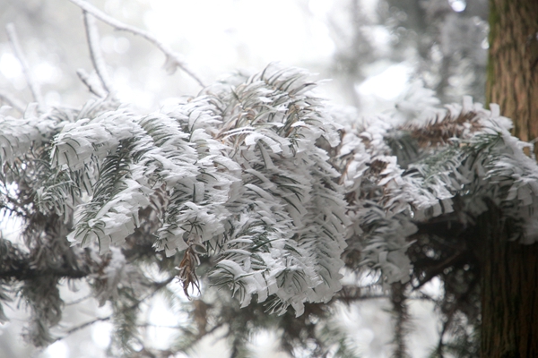 ͼΪ��ڡ���ۡ���������