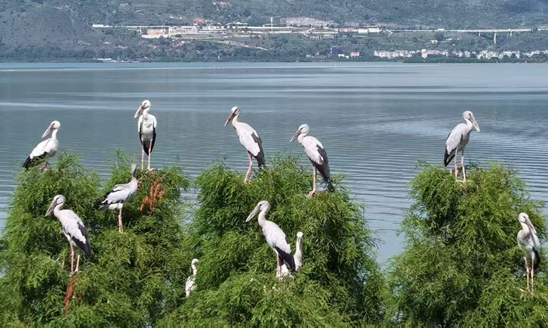 ��1�����Խ��Խ��ĺ����������ƺ�Խ����������ί��������ͼ