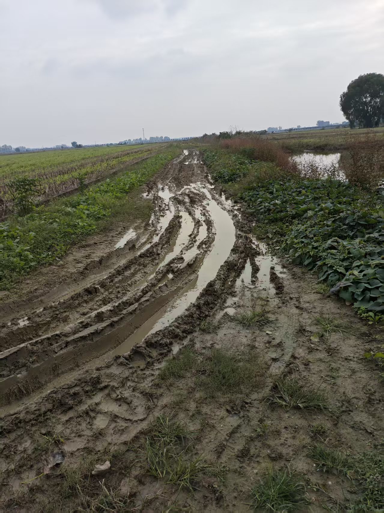 ����ʡ�����й����������ũ���·��Ţ������ͼ