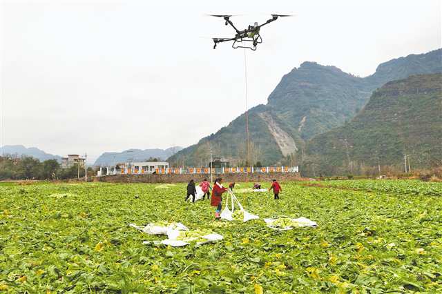 ��Լ��Ӱ ����/�Ӿ�����