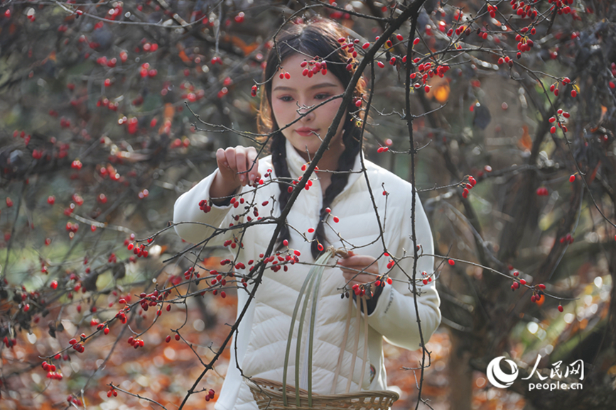 ɽ���Ƿ��գ����������ο�ǰ�������ժ������������ ����ƽ��