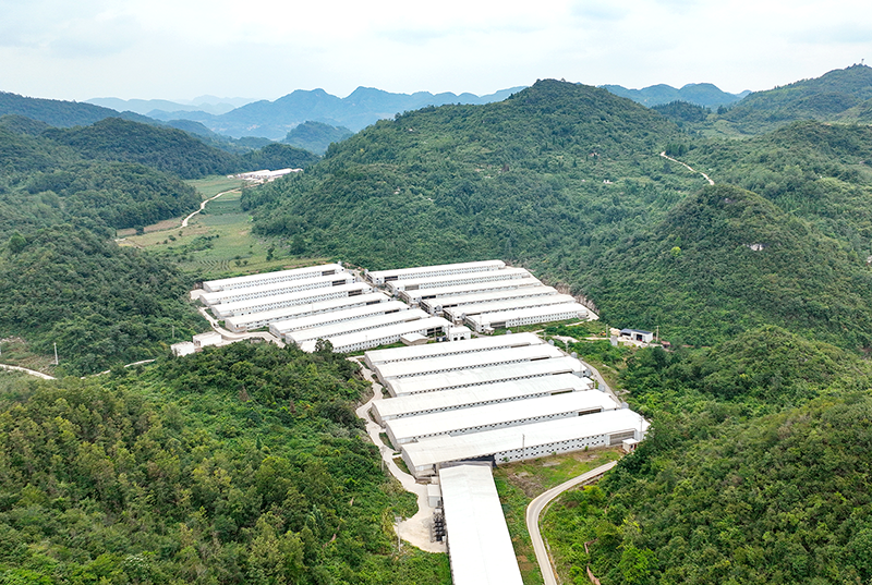 �������Ϻ��Ұ���̬��ֳС�����򽨻���