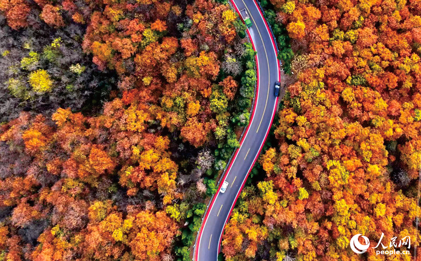 ��Դ��ɽ��ҵ����·������������ ��������