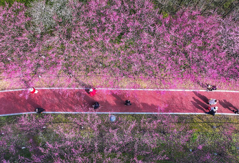 1��27�գ���������������չ��԰�������Եĺ�÷���ųɡ���ɫ���ȡ������˻���Ƭ������ϯ���� ���� ��