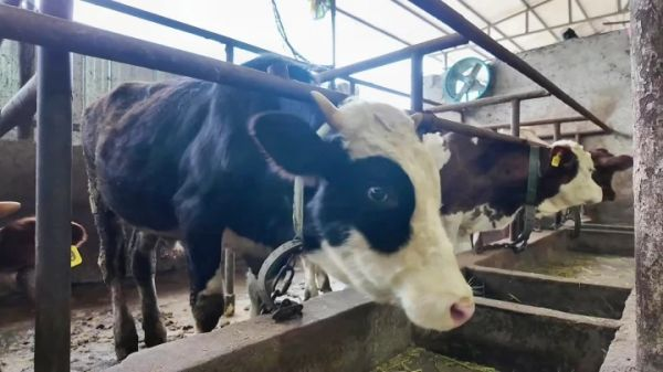 �������ң����ƴ����ƶ���ţ��ҵǿ����Ч��