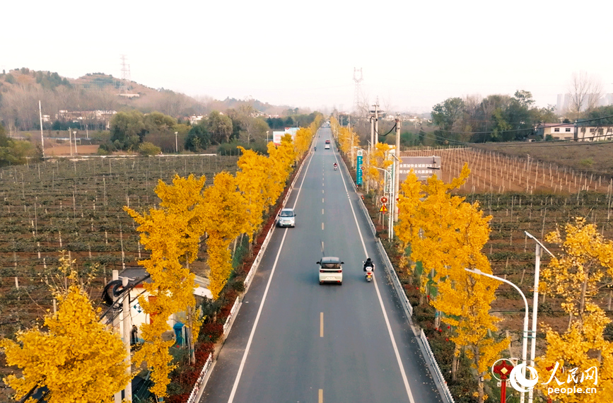 ��ϿY009����߻�ʨ��·�Ρ����������� ��������