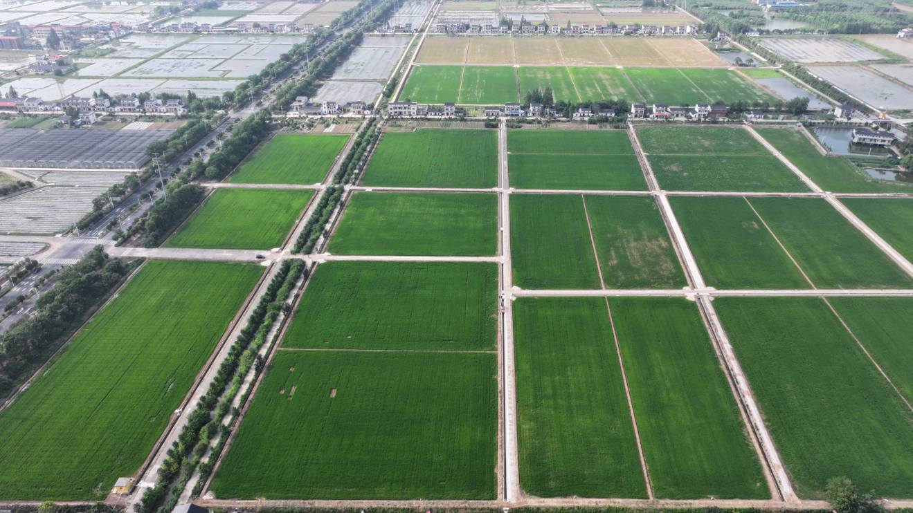 �������������ƽ��߱�׼ũ�ｨ���Ե���Ŀ��Ч����λ��ͼ