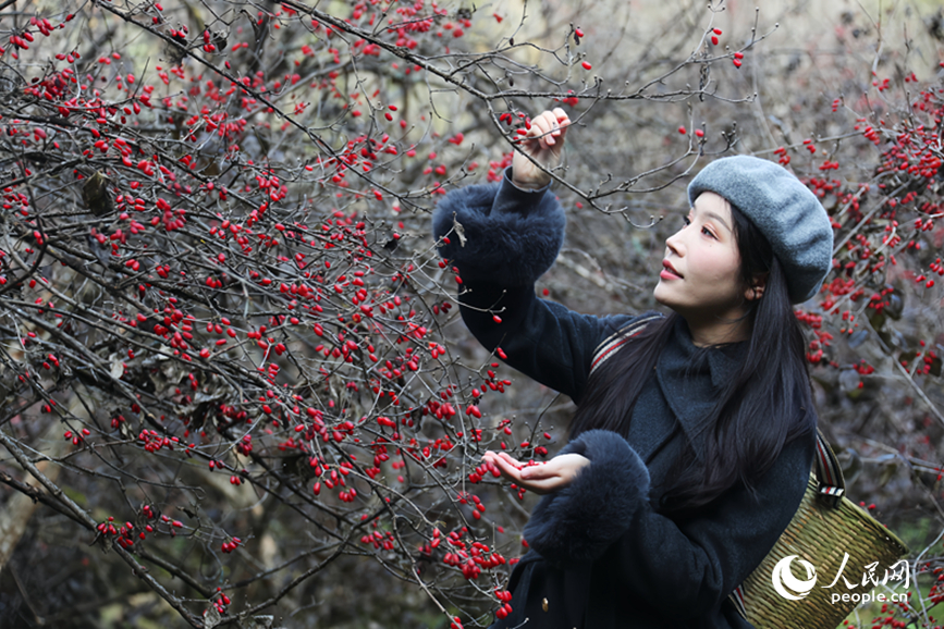 ɽ���Ƿ��գ����������ο�ǰ�������ժ������������ ����ƽ��