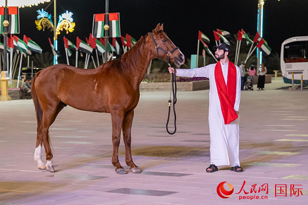 ��ֳ��������������������շ�Χ�������� ����ˡ��ײ�������