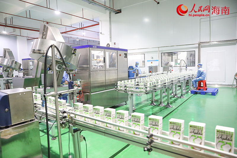 在椰彩食品的外包装车间,自动化设备正在飞速运转。人民网记者 牛良玉摄.jpg