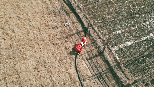 ������Ա���������ø�ѹ���Ը��Ϲܡ��ܷ��߹�ͼ