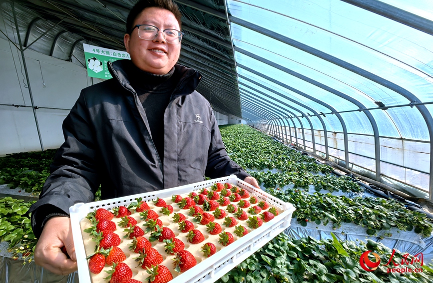 �����������ܴ������ݮϲ����ա����������� ��������