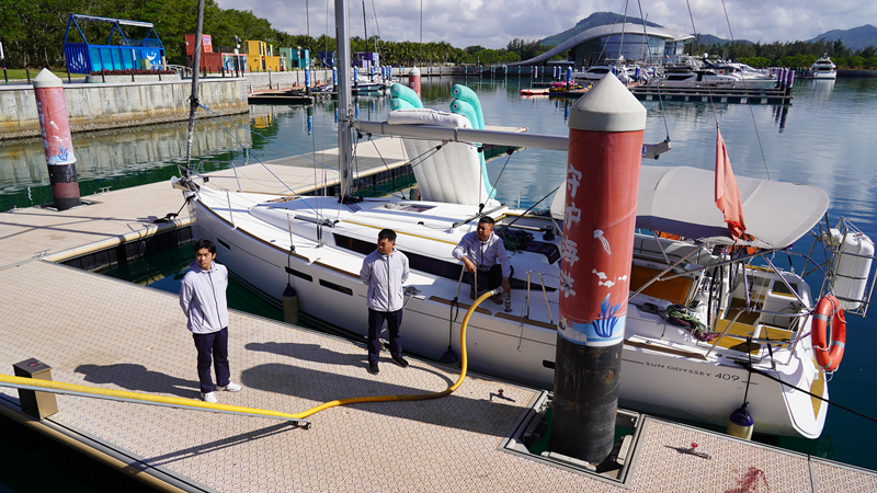 ����ʯ÷����ͧ��ͷ��չ������Ⱦ��ʵ�����������¾ֹ�ͼ