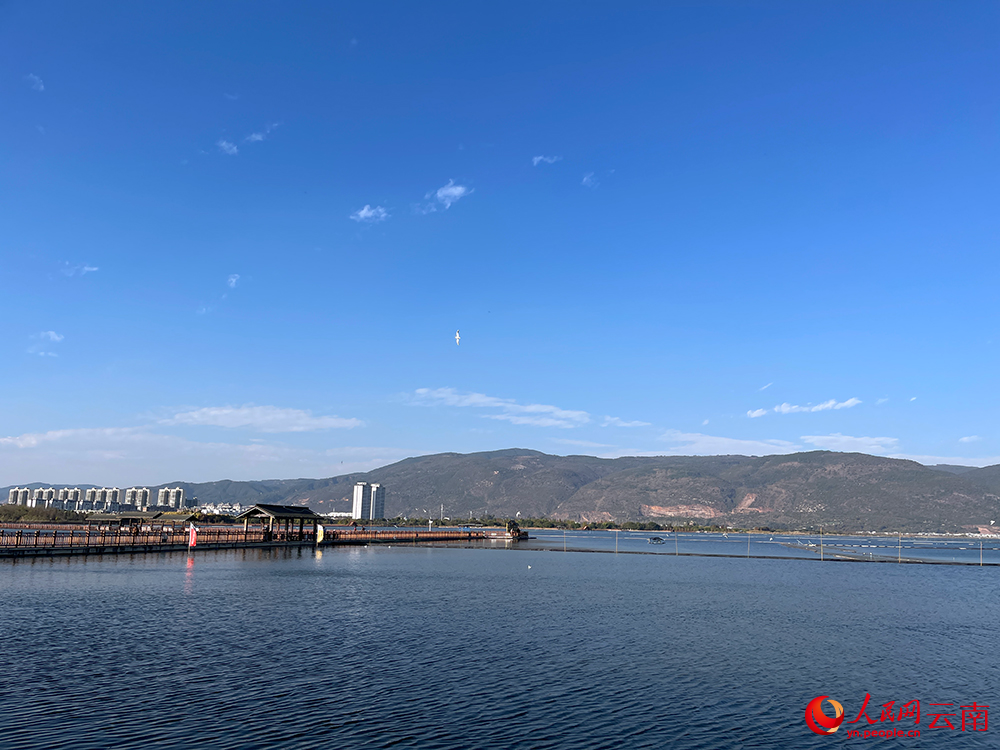 ������������������������� �̺���