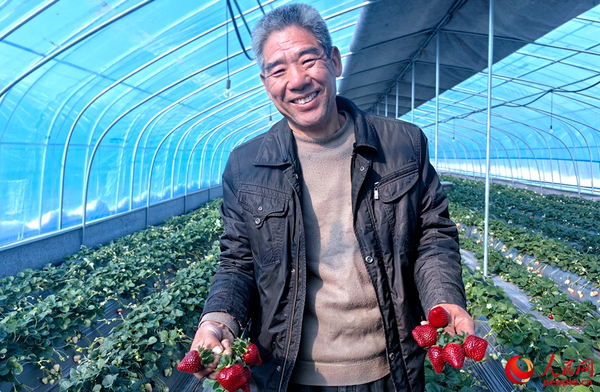 Ȩ��ǿ��ժ���ڲ�ݮ�������������� �η�����