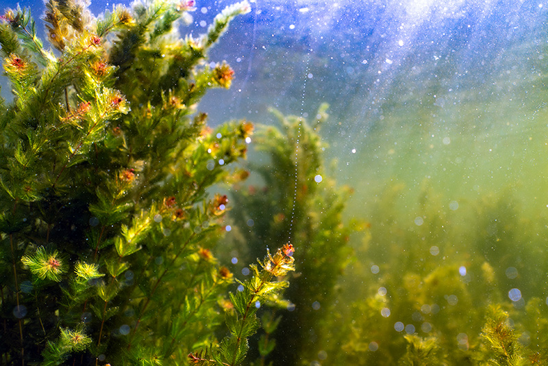 ��״��β�塣�н���򺽵��ֹ�ͼ