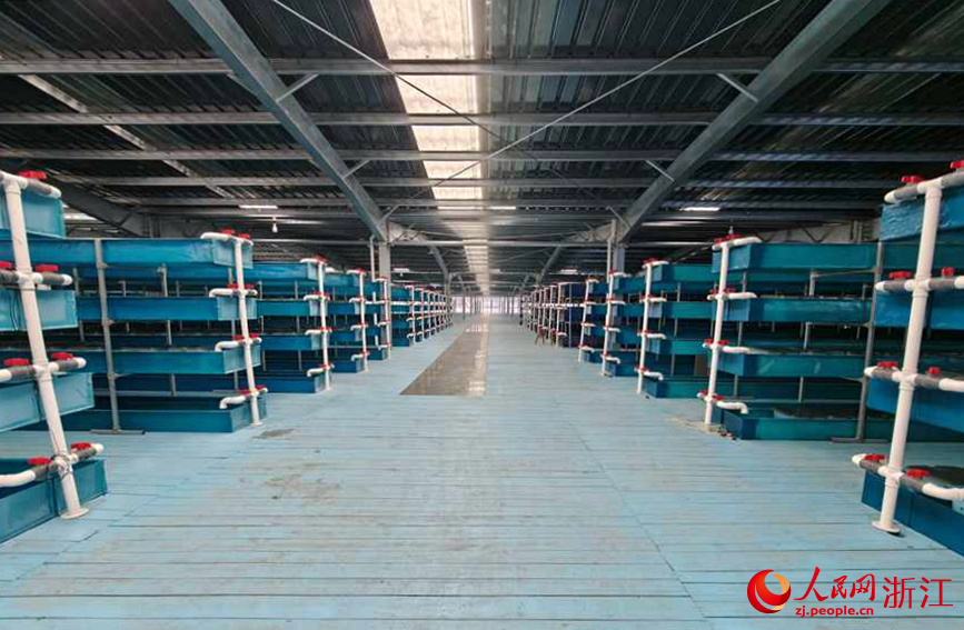 ��������з��ֳ�䡣���������� ��������