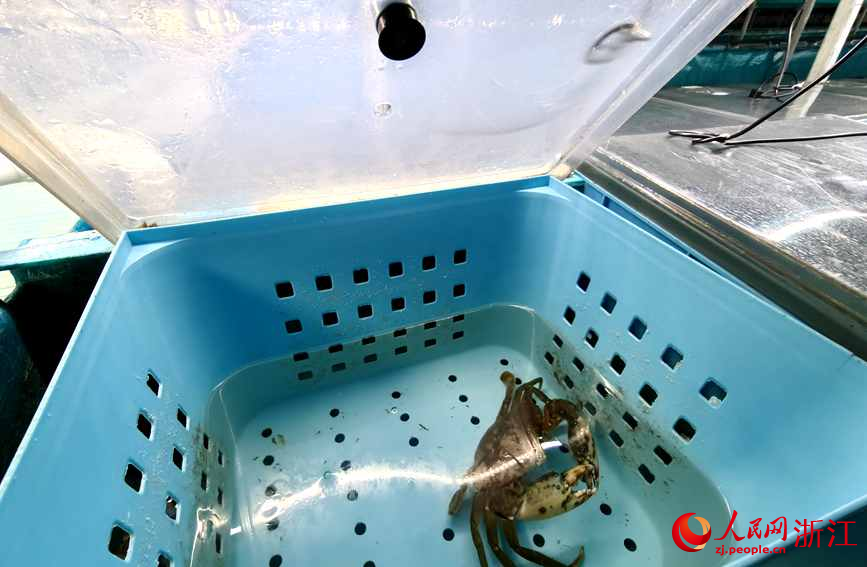 ������ͷ����£�ÿһֻ��з������״̬���������ա����������� ��������