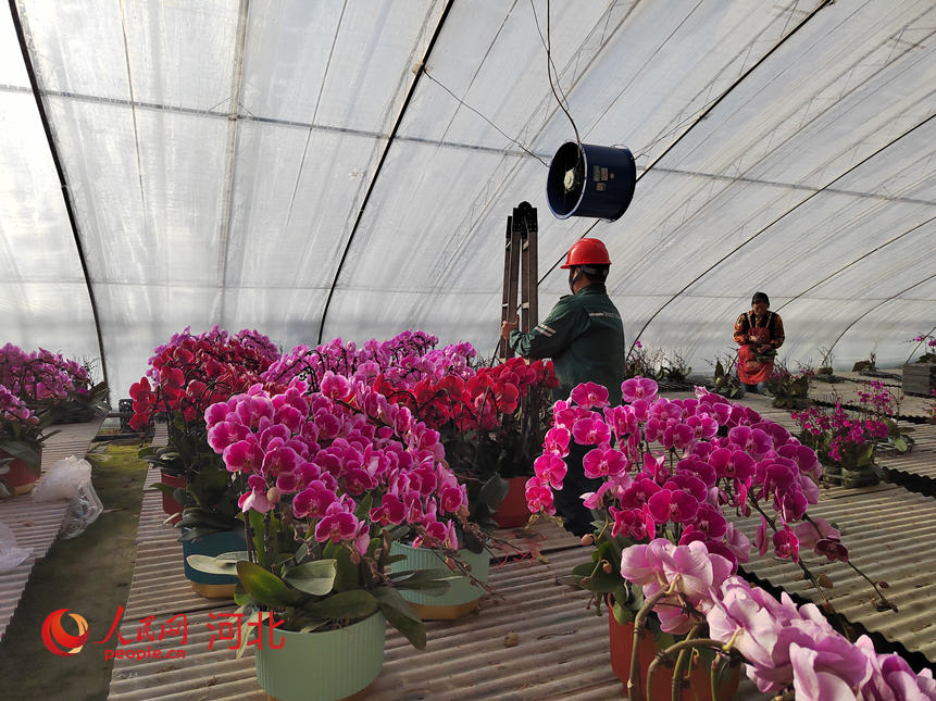 �ӱ�ʡ�����ط�ɽ���������ֲ���أ�����������Ա�ڼ������ڷ�������������� ף������