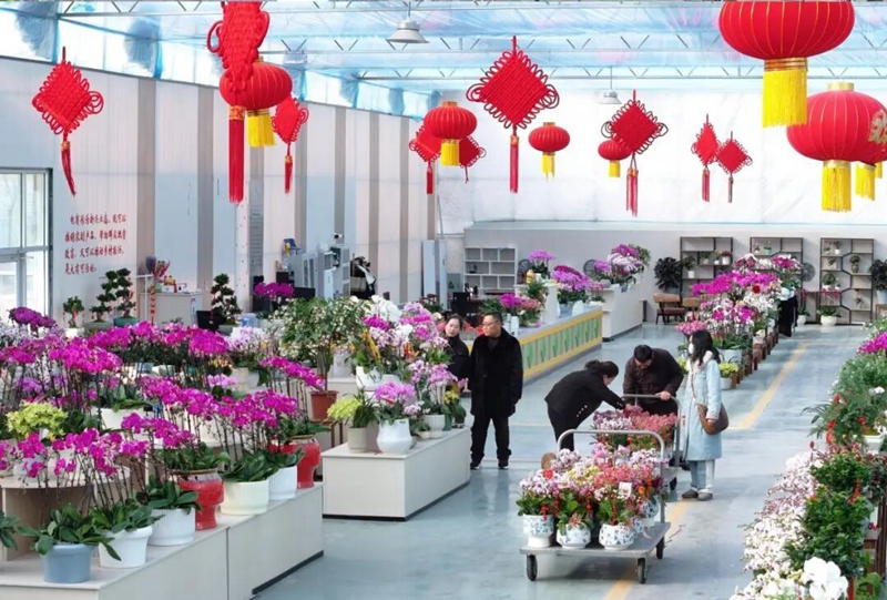 �������ڣ��ο�ѡ����������������ί��������ͼ