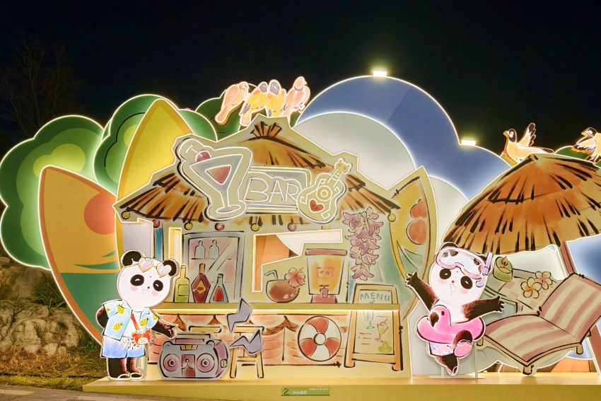 µÚ55½ì³É¶¼¹ú¼ÊÐÜèµÆ»áÏÖ³¡¡£ÈËÃñÍø ÕÔ׿ÀÖÉã