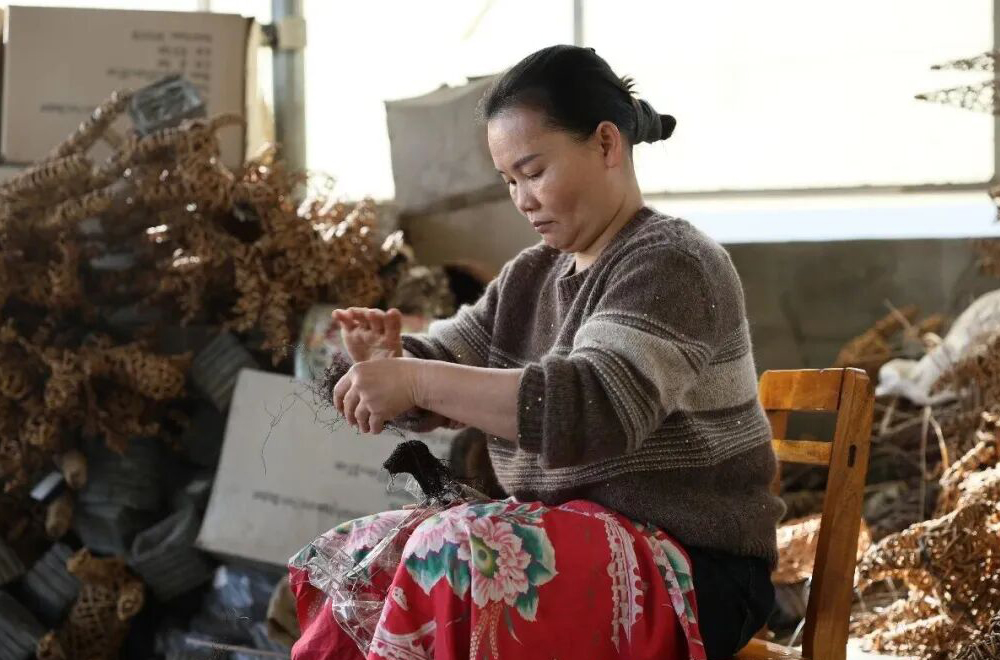 ���ӳع�����Τ�������ڱ�һֻС��������ά��