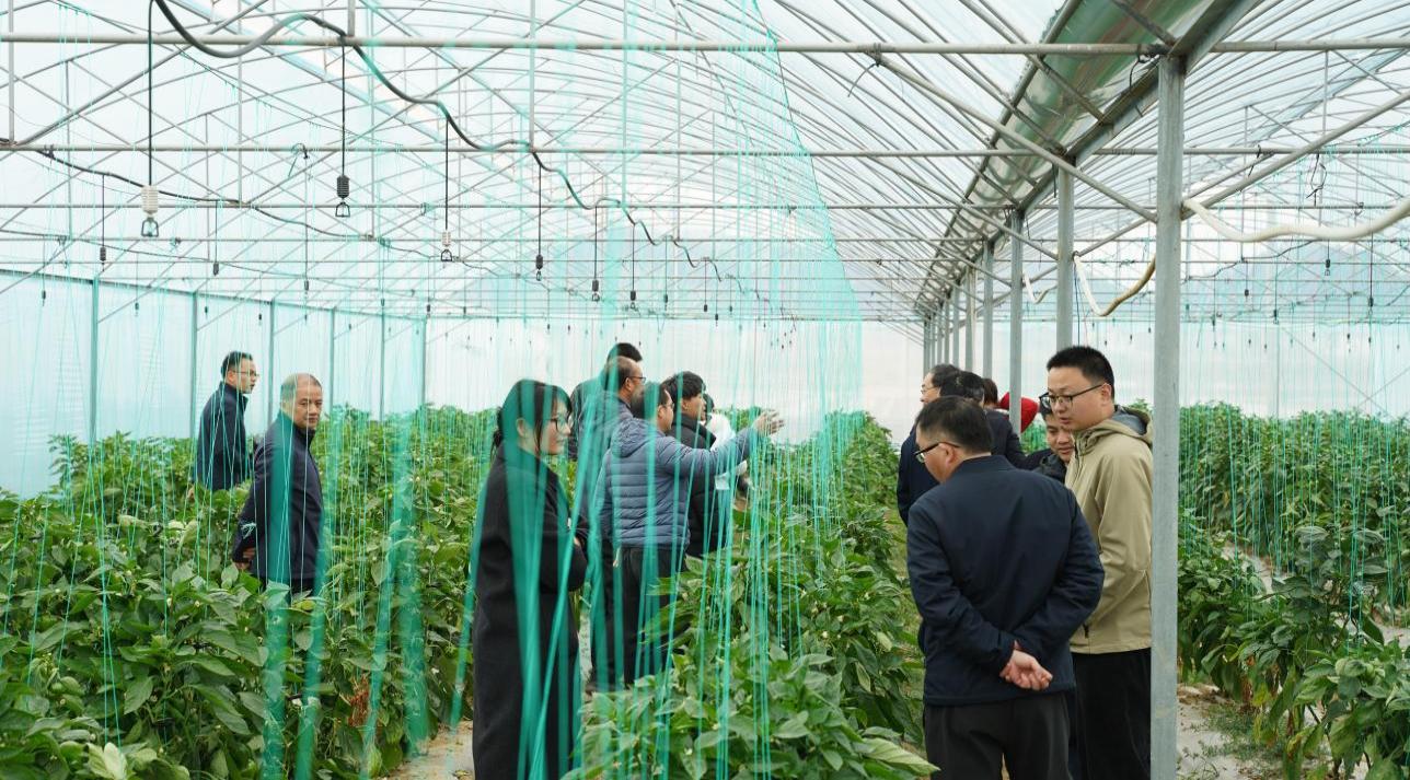 �������ں�����ũҵ��ѧԺ���С���������