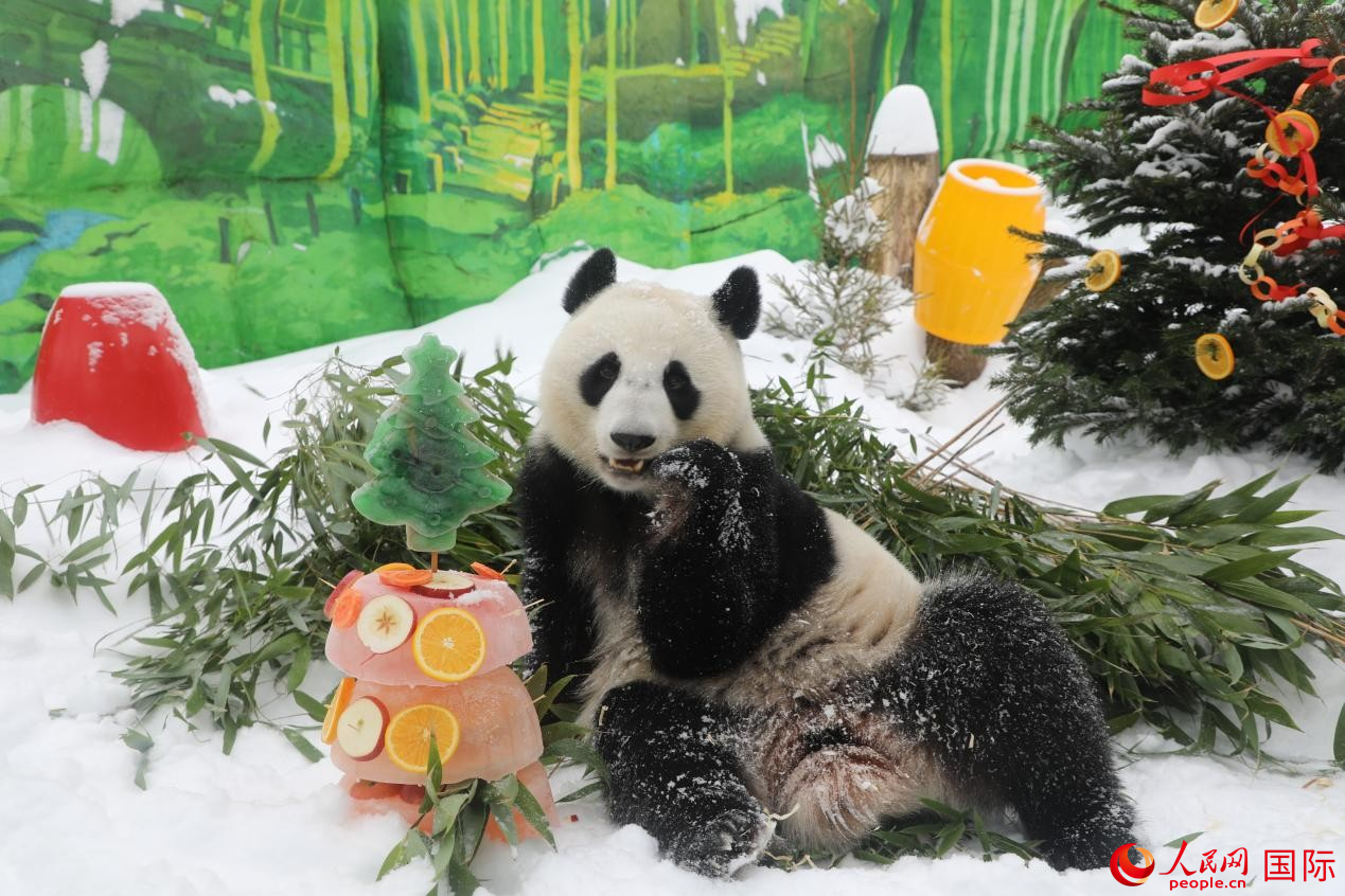 ����è������ɯ����������԰��׼���ĵ��⡣���������� Ф������