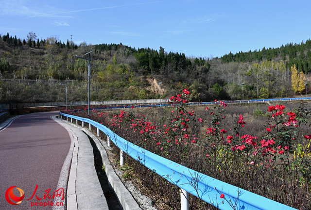 ��Դũ�幫·������������ ��������