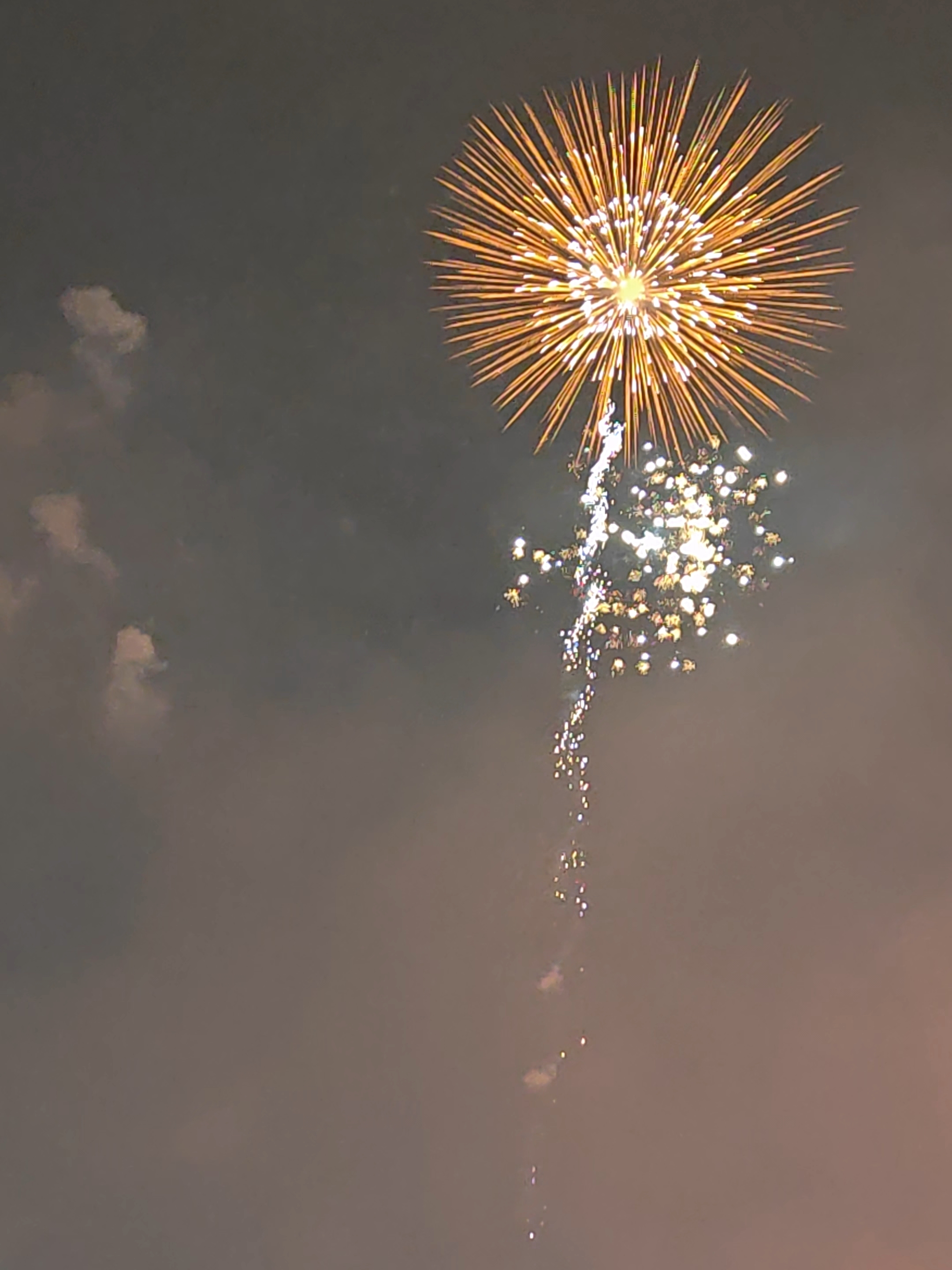 烟花汇演现场,焰火绽放,宛如一朵向日葵。人民网记者 王雅蝶摄