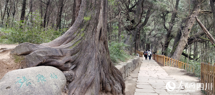 ���δ����ȣ��紵��ľ�㡣���������� ��������