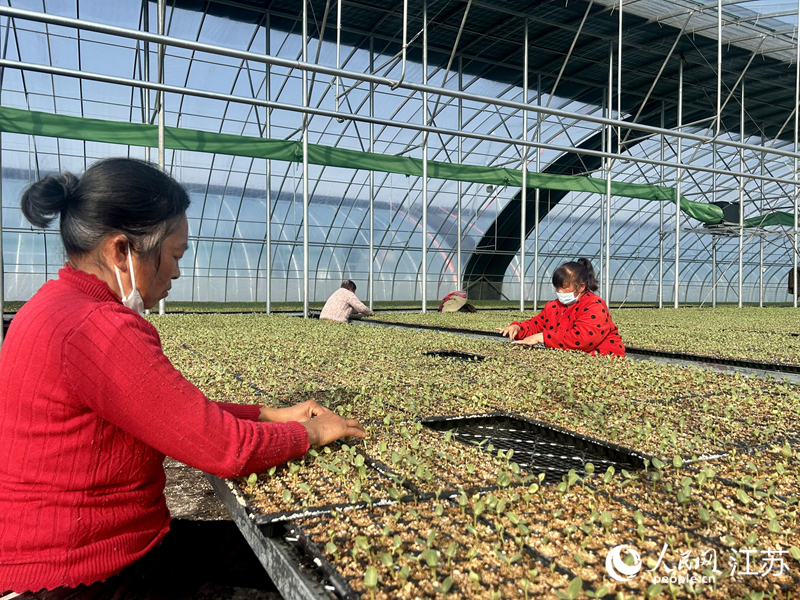 ������Ϊ����ȥ�ǡ����������� ��������