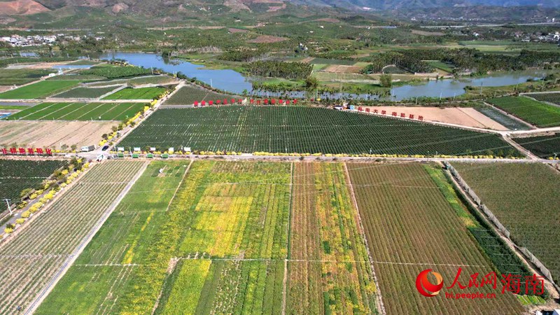 ���ϴ�ѧ�Ϸ����ء����������� �Ϸ�ʢ��