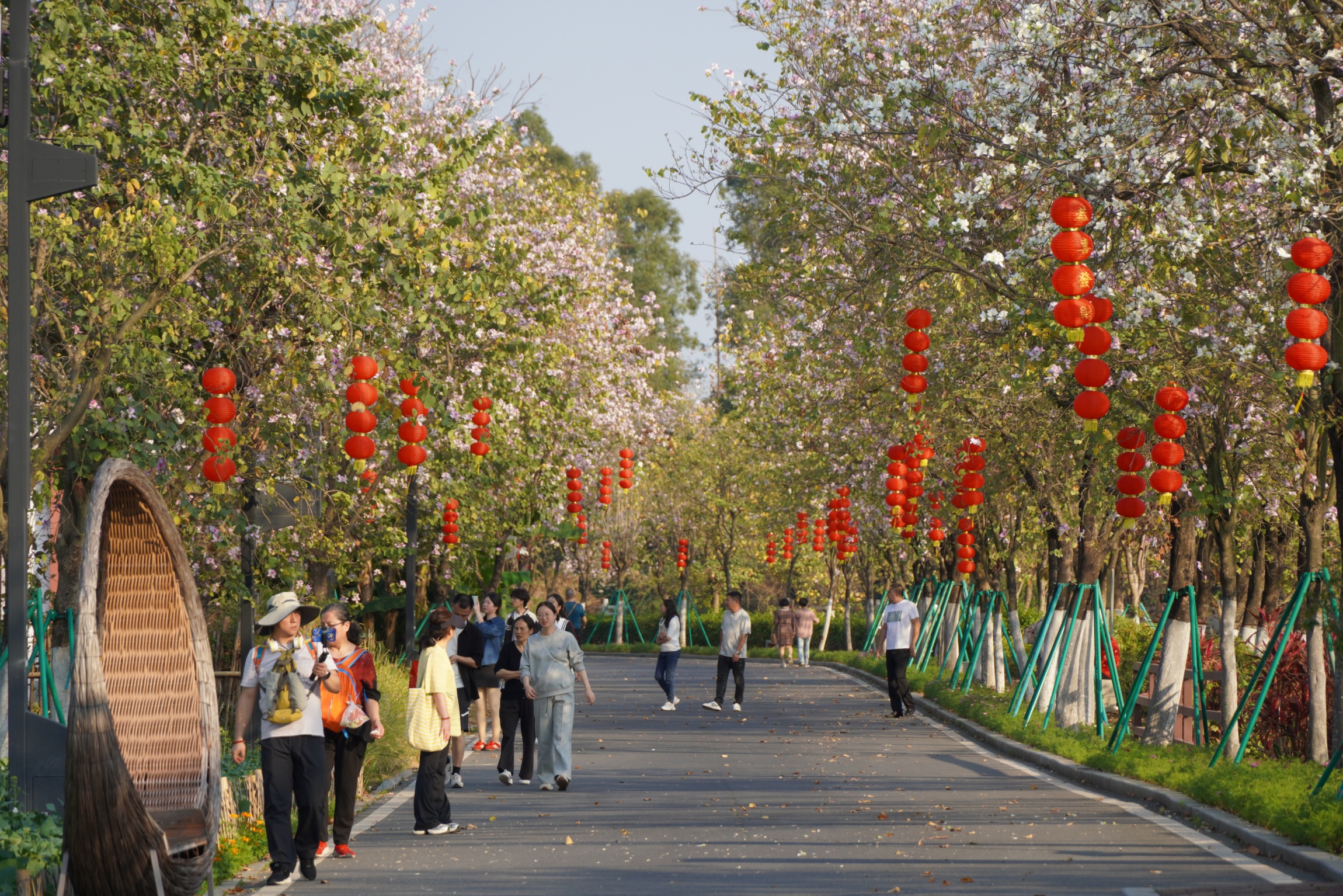 ���ݺ���ʪ�أ���ζŨŨ������������ ���ŵ���