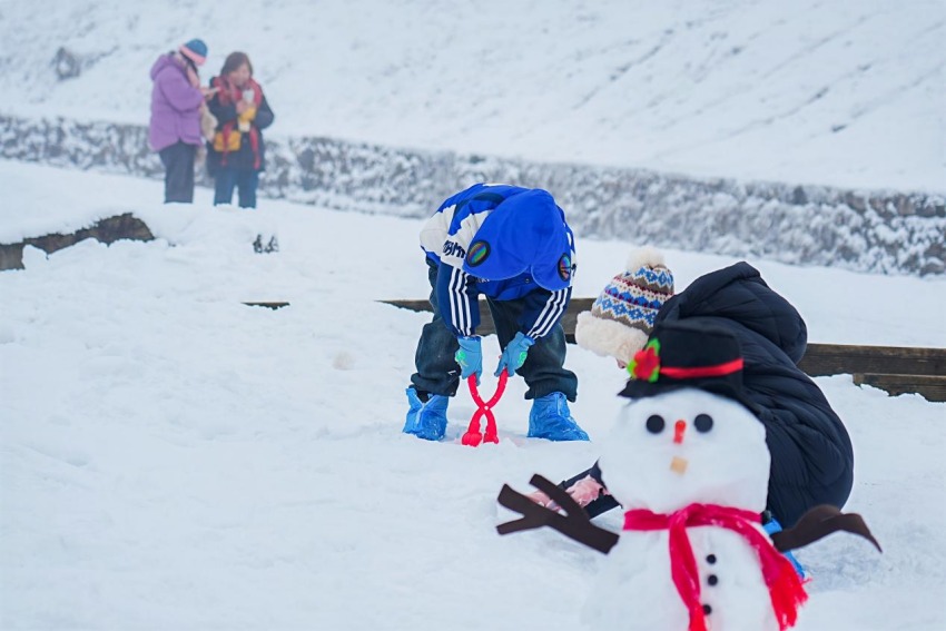 Î÷Áëѩɽ¡£Ö÷°ì·½¹©Í¼