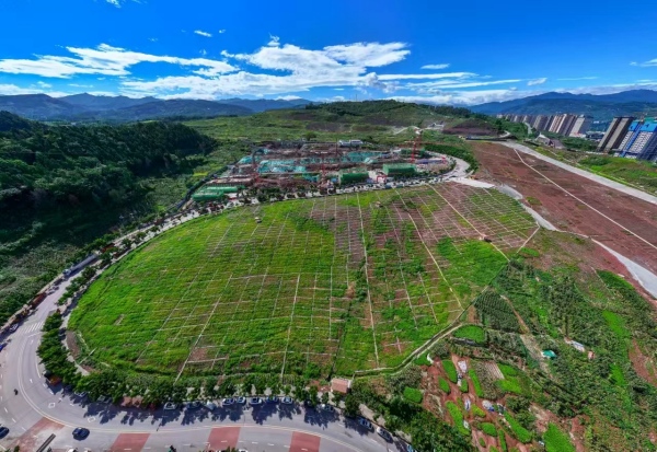 马鞍山社区闲置土地“变身”城市菜园。丰都县规划和自然资源局供图