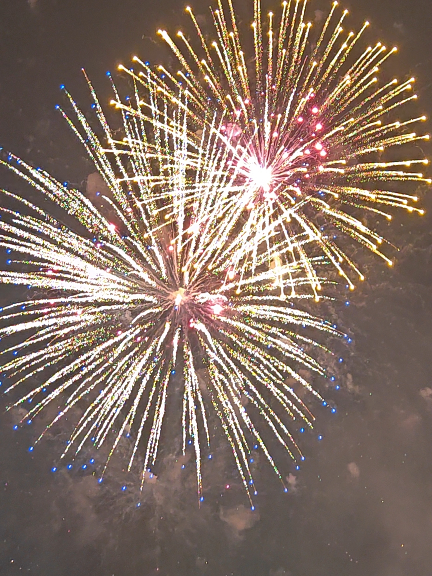 烟花汇演现场,焰火绽放,满载祝福。人民网记者 王雅蝶摄