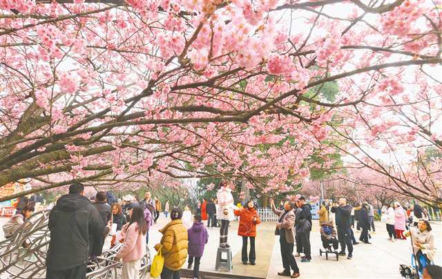 2��20�գ�����԰��԰���ο�������ӣ�����´����ա���Լ��Ӱ ��־��/�Ӿ�����