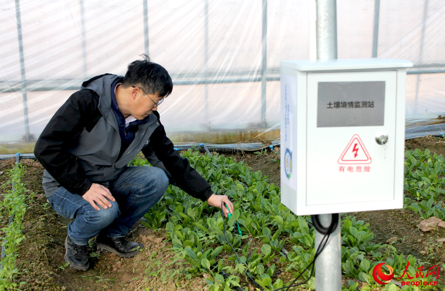 ��ͬ������Ʒ�߲�԰���ܻ��������������顣���������� �ž����