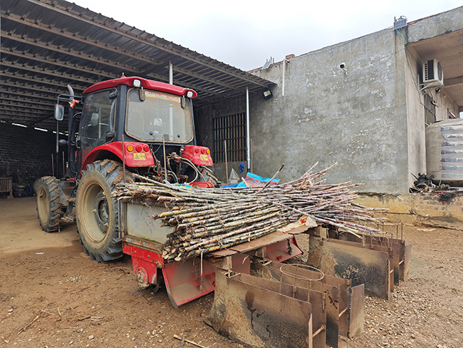 ũ����ԭ����ţ������˳��⡣��������ý�����Ĺ�ͼ