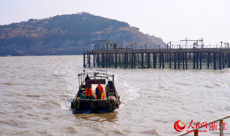 ������ҵ�Ĵ�ֻ����æµ�š����������� ������