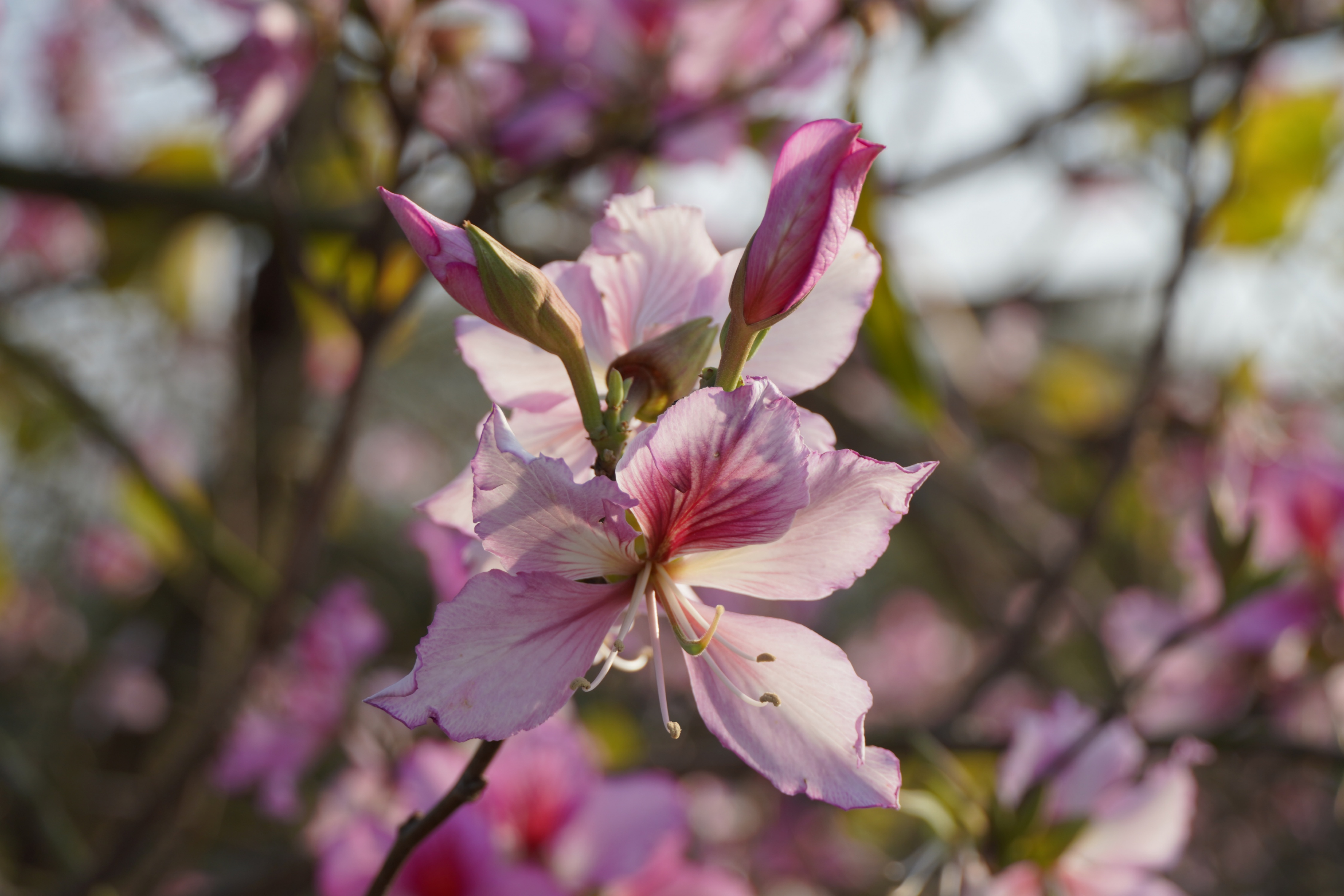 ���ݺ���ʪ�أ������Ͼ��������š����������� ���ŵ���